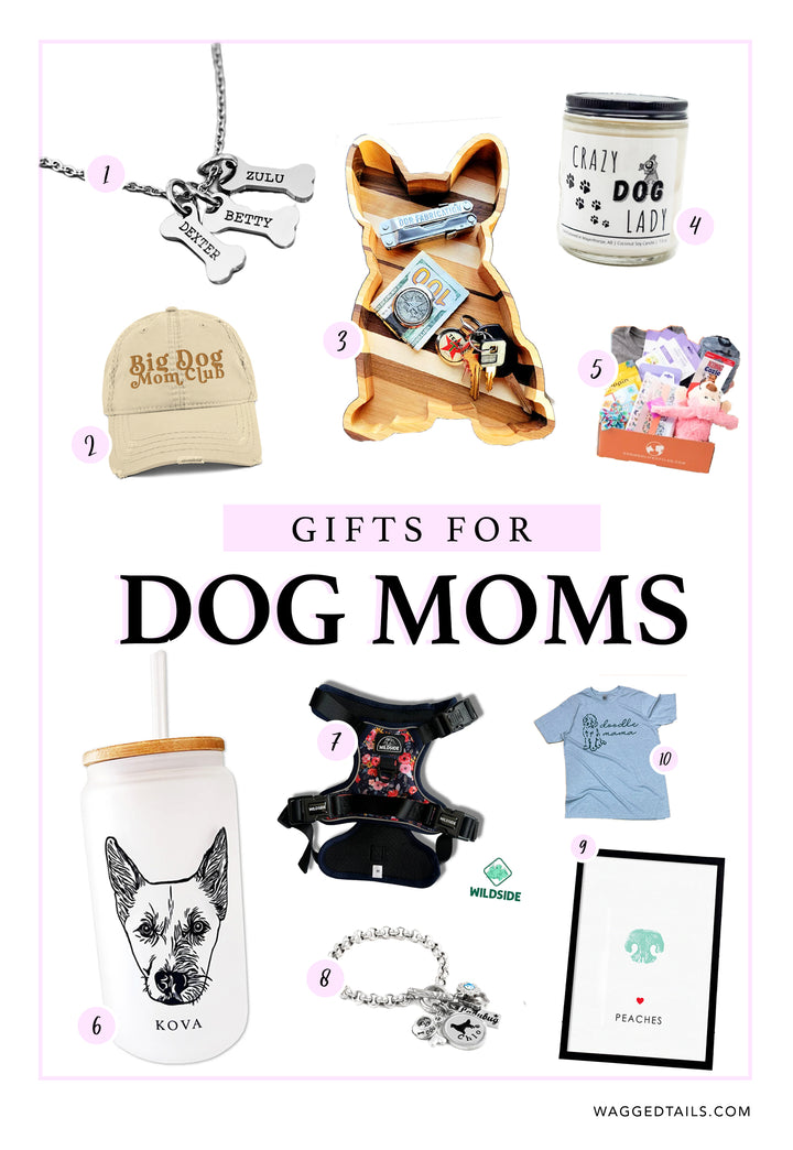 Mother's Day Gift Guide for Dog Moms - 10 Gifts for 2023